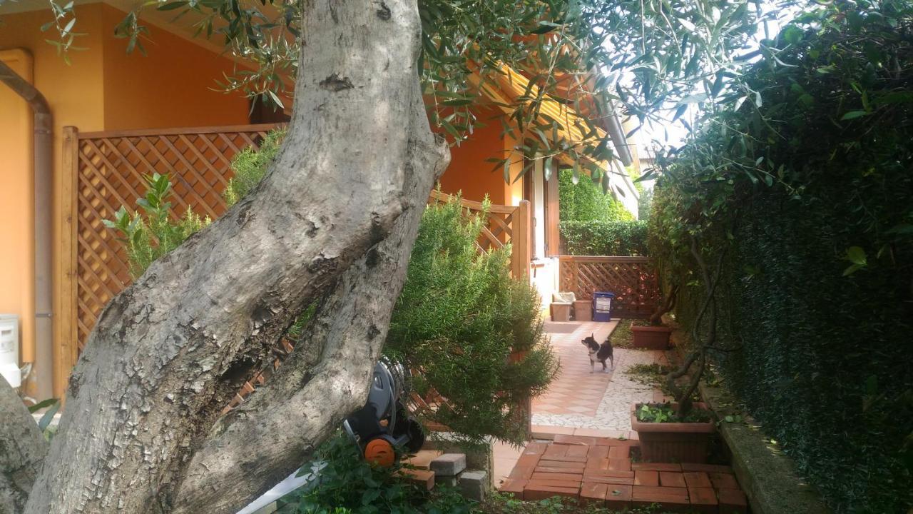 Villa Nido Di Dafne Provaglio d'Iseo Exterior foto